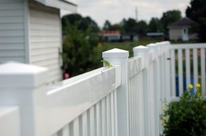 Residential Fencing Contractors in Stamford, CT, Greenwich, CT, & Westchester, NY